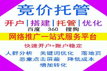 SEM竞价实战：成功案例解析